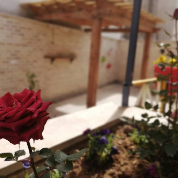 پانسیون مطالعاتی تسلا پانسیون مطالعاتی تسلا